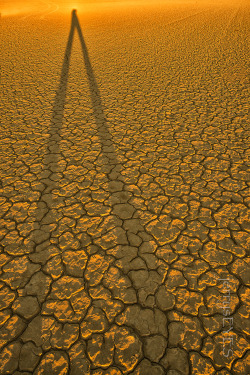 &ldquo;Long, Tall Jerry&rdquo; On the playa, in Nevada, at sunrise-jerrysEYES