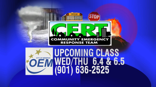 Teen Community Emergency Response Training 87