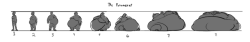 smandraws:  i made a fatometer (or a shifting scale, if you would) to make it easier for commissioners to pick a fatness level and so they dont have to go find another reference  Turn it up to eleven 