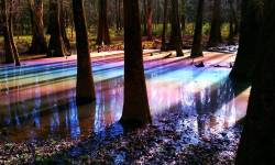 darksideoftheshroom:  rainbow reflection on water 