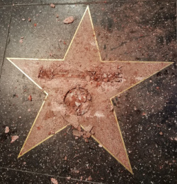 kimidakewooooo: senpai76:  hman:    “…Trump’s star on the Hollywood Walk of Fame was destroyed early Wednesday morning in what looks to be a Tinseltown first.”  Blessed Image  reblog in less than 30 seconds for good luck 