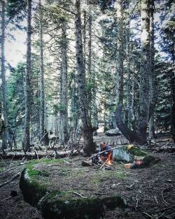 bushcraftturk:  #bushcraft #wildcamping #survival #camping #camp #instanature #outdoors #adventure #hiking #forest #modernoutdoorsman #wood #woodsman #liveauthentic #modernnature #naturelover #backpacking #nature_seekers #wilderness #getoutside #campvibes