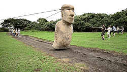 kammartinez:  thegirlthewolfate:  theopensea:  kiwianaroha:  pearlsnapbutton:  desiremyblack:  smileforthehigh:  unexplained-events:  Researchers have used Easter Island Moai replicas to show how they might have been “walked” to where they are displayed.