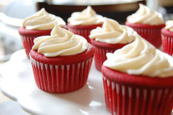 drunkcravings:  Red Velvet Cupcakes with Cream Cheese Frostingmakes 24 cupcakes ¼ cup (2 ounces) red food coloring3 ½ Tablespoons unsweetened cocoa powder1 cup (2 sticks) unsalted butter, at room temperature1 ¾ cups sugar2 large eggs2 cups cake flour1