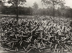 Forêt d’obus, vers 1910.