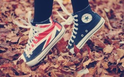 whathecat:  Converse All Star &lt;3 !!! @_@ ^_^ :) xD