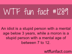 wtf-fun-facts:  The difference between idiot and moron an idiot is a stupid person with a mental age below 3 years, while a moron is a stupid person with a mental age of between 7 to 12.  MORE OF WTF FACTS are coming HERE Words, movie  and fun facts