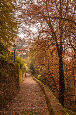 allthingseurope:  Autumn in Bergamo, Italy (by luca eugeni) 