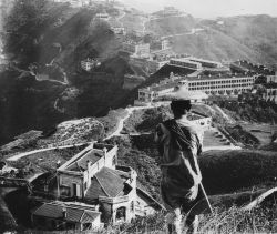 historicaltimes:  Country homes of wealthy Hong Kong residents, 1937 via reddit 
