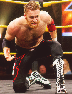 Aside from being a great wrestler I find Sami Zayn really hot! Seems like a perfect gentlemen!