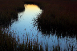 hueandeyephotography:  Tidal creek, Shem Creek, Mt. Pleasant, SC © Doug Hickok  All Rights Reserved hue and eye   the peacock’s hiccup
