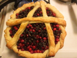 be-lilaced: my brother and i made anarchy pie Oh my god sammy this is so rad go you