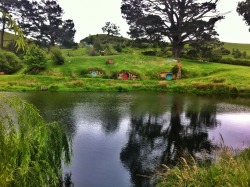 shire bliss, New Zealand.