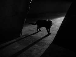 trinivigne:     nitratediva:  From Edgar Ulmer’s The Black Cat (1934)   