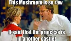 equestrian-wasteland-wanderer:  skyenote:  justanother-fuckedup-paper-girl:  An array of all my favourite Gordon Ramsay memes  These are the best so far!! XD  XD!!  omg this is back XD
