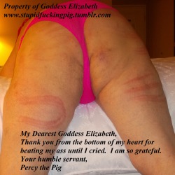 goddess-elizabeth:  goddess-elizabeths-property:  Always grateful for Goddess Elizabeth’s touch.   My name is Goddess Elizabeth. I am a lifestyle and pro domme. My kik - passivelove101 … My time is precious - TRIBUTES ARE REQUIRED FOR CHAT… offer