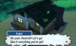 wuffleton:  I cannot believe that Professor Kukui was fucking his Rockruff when I showed up at his lab. Pumping himself up to take the knot like a champion. 