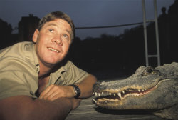 dillypatchkid:  February 22, 2013 — Happy Birthday, Steve Irwin. You taught me things about animals ever since I was little, you were the best part of my childhood and I will never stop watching The Crocodile Hunter. Rest in Peace.  We share the same