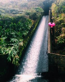 abeautifulsirenssong:  sixpenceee:  This is Hawaii’s hidden waterslide. The 35-foot conduit below pumps water from Mother Nature herself and is tucked deep in the forest of Waipio Valley on the Big Island. You won’t be able to find it on a map because