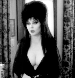 horsesaround:  Elvira: Mistress of the Dark (1988)