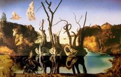 lonequixote:Swans Reflecting Elephants ~ Salvador Dali