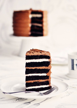 fullcravings:  Campfire Delight 6 Layer Rich Chocolate Malted Toasted Marshmallow Cake 
