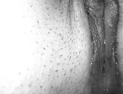 Allie submitted a link to a pic&hellip;and what a beautiful pic it is! I could lick that for hours! :P