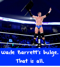wrestlingssexconfessions:  Wade Barrett’s bulge. That is all.  Been missing the Barrett Bulge lately&hellip;