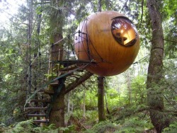 tokeandrelax:  fitness-fits-me:  bohemianhomes:  Moon to Moon Blog: Free Spirit Spheres and are  set among the tall trees of the west coast rainforest of Vancouver Island, Canada.  screw bc   bruh