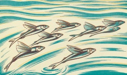 nemfrog:Flying fish.  Jungle Picnic. 1934. Clifford Webb, author and illustrator.
