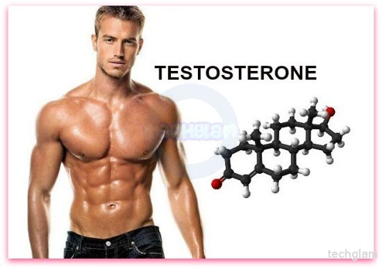 Testosterone packed guy