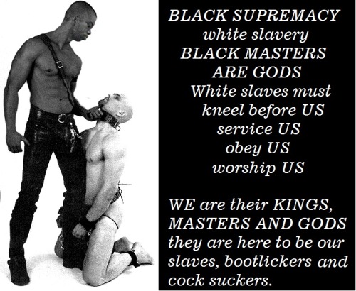 Blacks Slave Master Gay 103