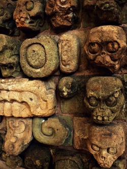 Ancient Mayan skull carvings from Copan.