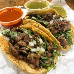 monchichitamberine:  Taco Tuesday!
