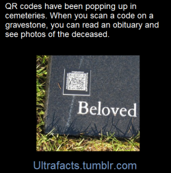 bedlamsbard:  riteofswing:  ultrafacts:    (Fact Source) for more facts, follow Ultrafacts     2000 years later: “The strange glyphs appearing on gravestones from the early 21st century onward remain a mystery. These astoundingly complex patterns (no