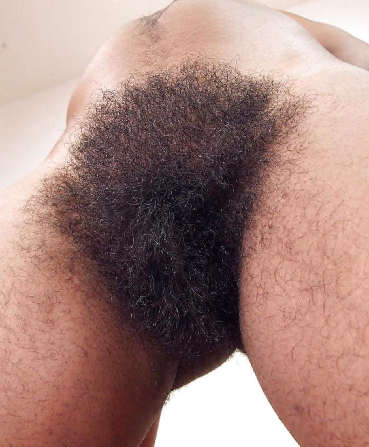 pussy Great hairy