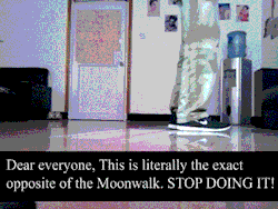 biwitched:  whosfuckingbad:  maltese-vulcan:  french-verbz:  Well now I can correctly moonwalk away from uncomfortable situations  Because everyone deserves to know how to do a mean moonwalk.  guYS THIS IS IMPORTANT   I definitely reblogged this sitting