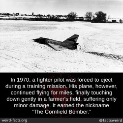 mindblowingfactz:  In 1970, a fighter pilot was forced to eject during a training mission. His plane, however, continued flying for miles, finally touching down gently in a farmer’s field, suffering only minor damage. It earned the nickname “The Cornfield
