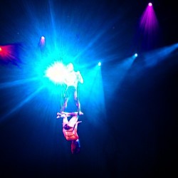 Amazing sensual trapeze burlesque circus performance ♥ ♥ ♥ #bhof #bhof2015 #burlesquehalloffame #missexoticworld #burlesque #lasvegas #vegas #theweirdturnpro #buythetickettaketheride #circus #performanceart #trapeze #aerial #aerialdance #afraidofheights