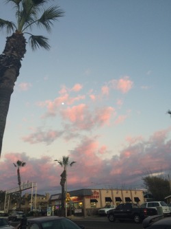gothdog:pink clouds