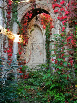 bluepueblo:  Garden of 40,000 Roses, Póstelek’s Castle, Hungary photo via celeste 