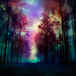 magical forest by kokoszkaa on deviantART on We Heart It http://weheartit.com/entry/86785198/via/creepycrawlie