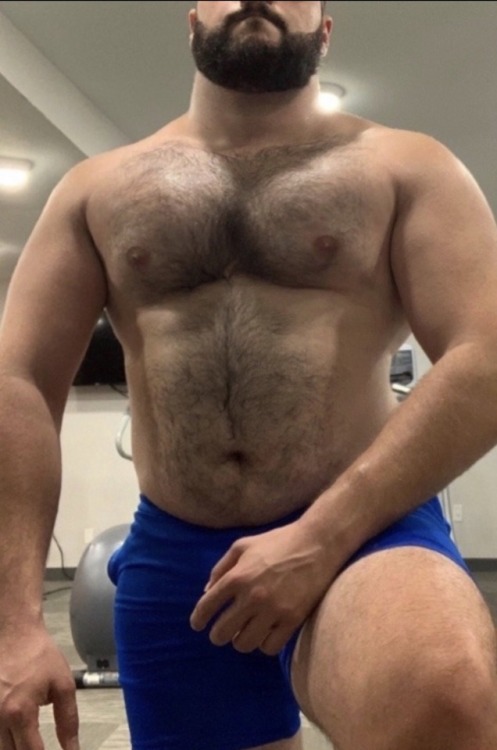 max14me:        growing CUB in blue gym shorts
