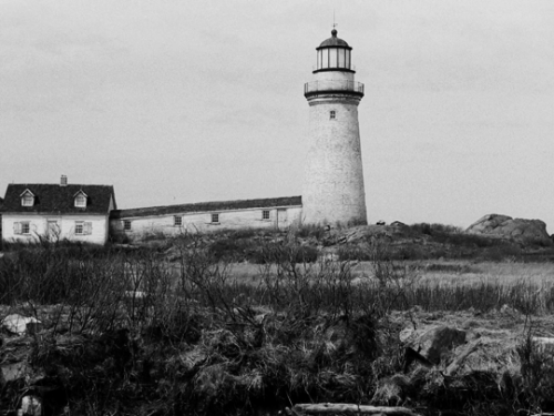 carol-danvers: Should pale death, with treble dread, make the ocean caves our bed, God who hears the surges roll deign to save our suppliant soul. The Lighthouse (2019) directed by Robert Eggers, cinematography by Jarin Blaschke 