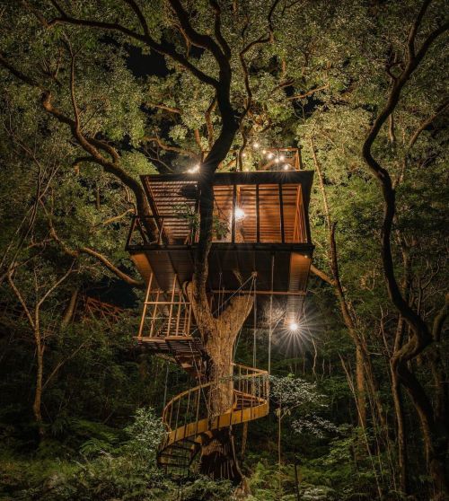 utwo:Treeful Treehouse Sustainable Resort Nago Okinawa Japan© treeful treehouse