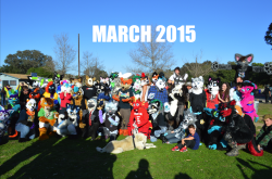 aceofheartsfox:Two fursuit group photos from the same meet then and now. :3 it’s really great to see how much the local furry community has grown!  omfg thats awesome :DDD