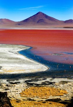praial: Bolivia: Laguna Colorada