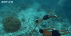 sixpenceee:  HOW THE MOKIN CHILDREN ARE ABLE TO SEE WITH AMAZING CLARITY UNDERWATER The Mokin are a group in Thailand that are nomadic and have a sea-based culture.  In the sea there is less light, so usually one’s iris will dilate. But the Mokin have