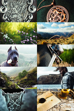fus-ro-die:  fus-ro-die-archive-blog:dragon age inspo boards - warden alistair for alistair week“Oh, it’s wonderful! You get fresh peaches delivered every morning, first choice of local village girls, and bunnies, too! Well maybe it’s not that.