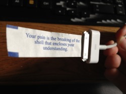 thingsfittingperfectlyintothings:  iphone charger + fortune cookie fortune (fit found by conputerscience)